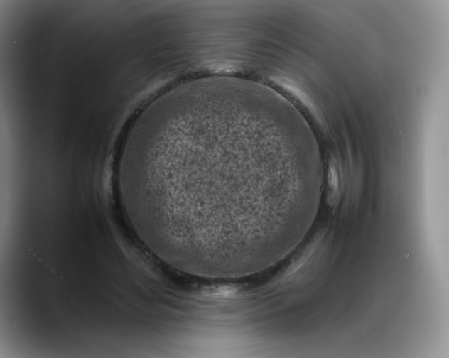 X0000088700492200706141433