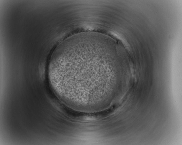 X0000088700496200706141433