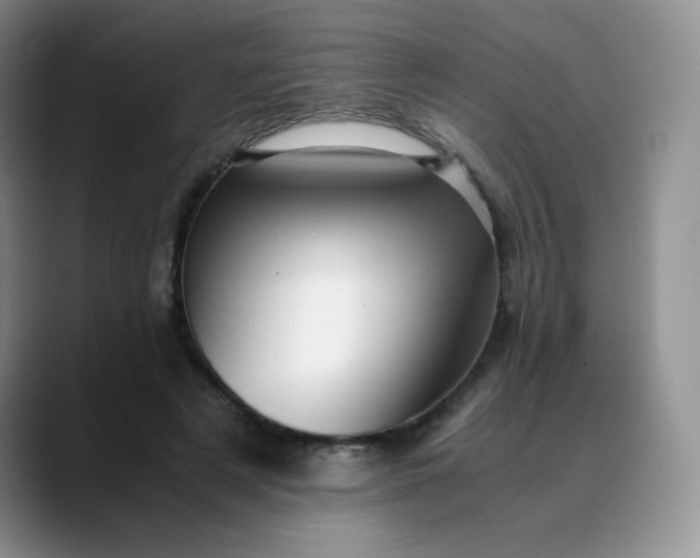 X0000088700497200706141433