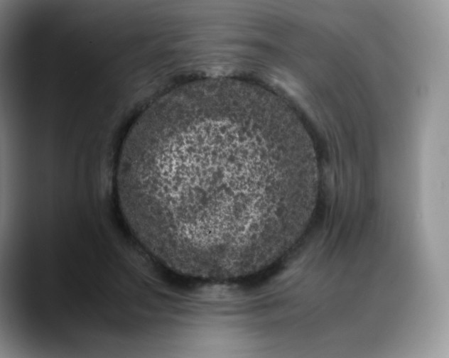 X0000088700499200706141433