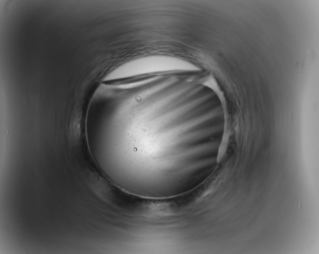 X0000088700501200706141433