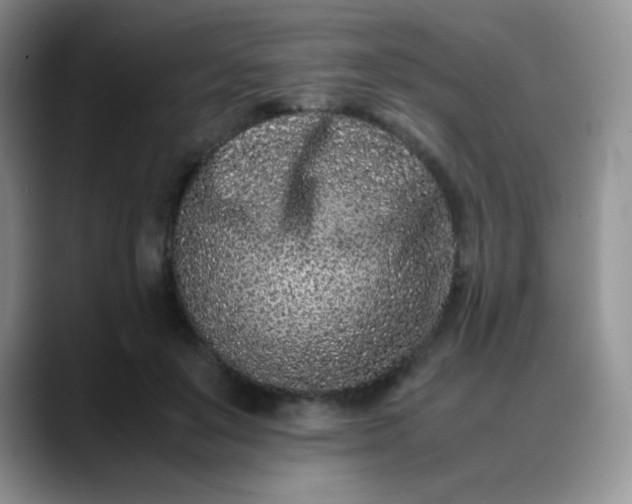 X0000088700503200706141433
