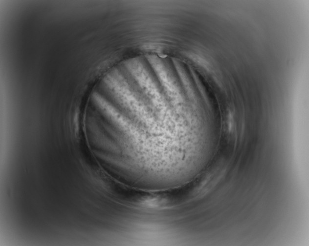 X0000088700504200706141432