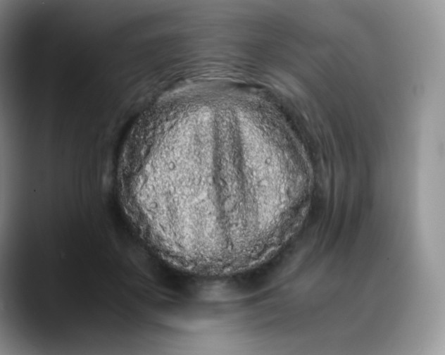 X0000088700507200706141432