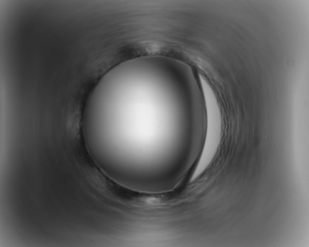 X0000088700509200706141432