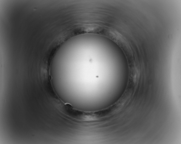 X0000088700510200706141432