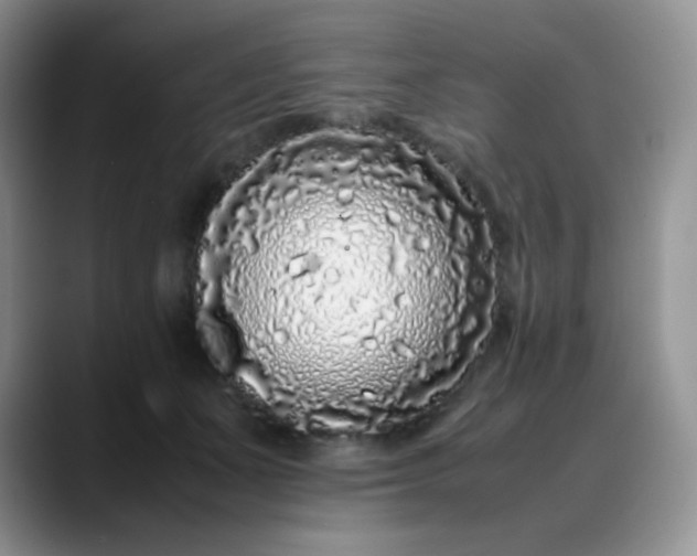 X0000088700511200706141432