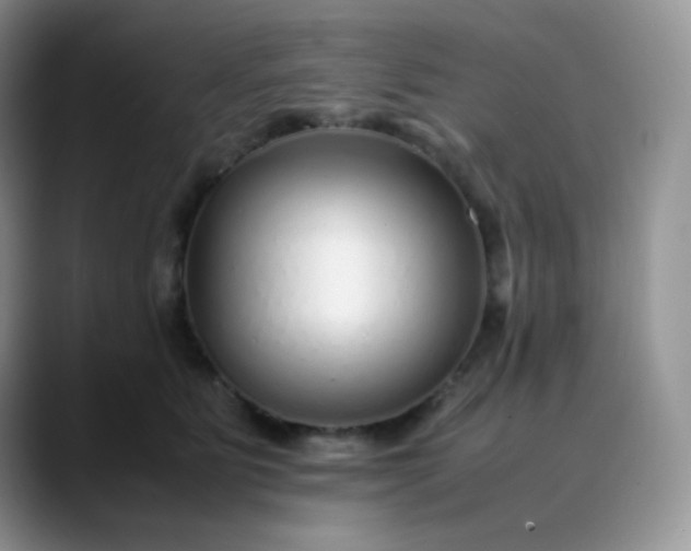 X0000088700515200706141432