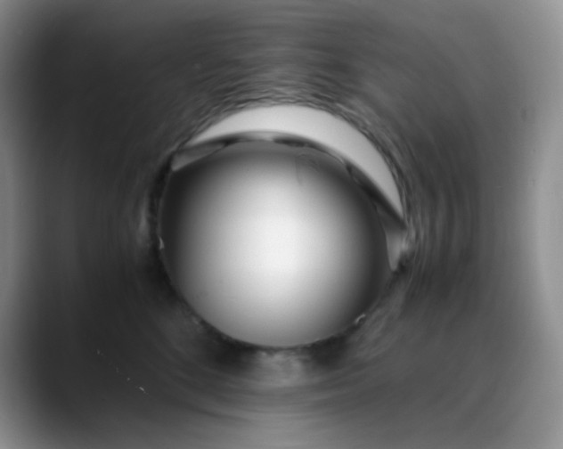 X0000088700520200706141432
