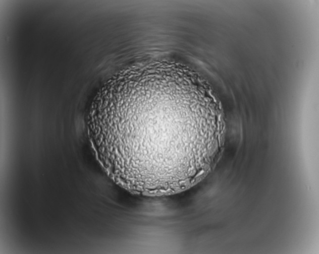 X0000088700523200706141432