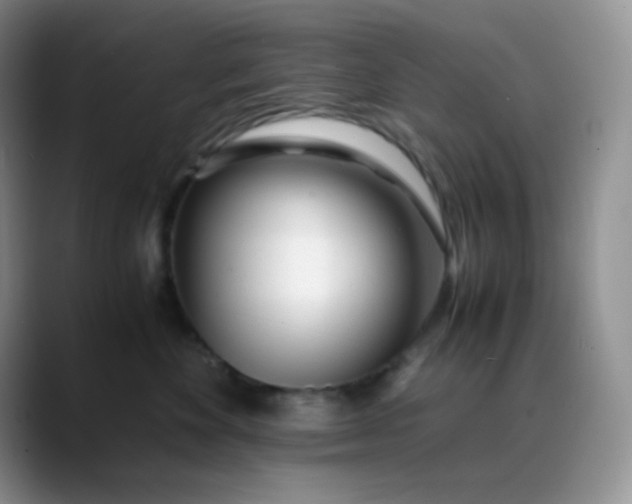 X0000088700524200706141432