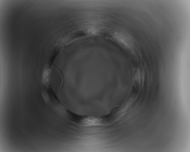 X0000088700526200706141432