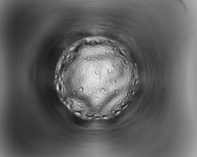 X0000088700527200706141432