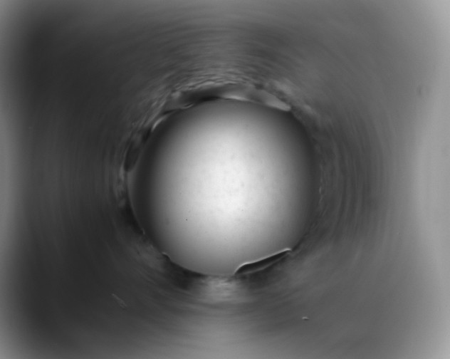 X0000088700528200706141432