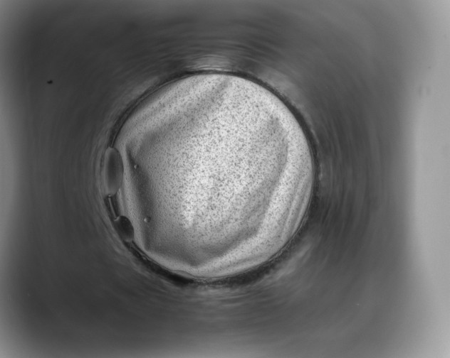 X0000088700529200706141432