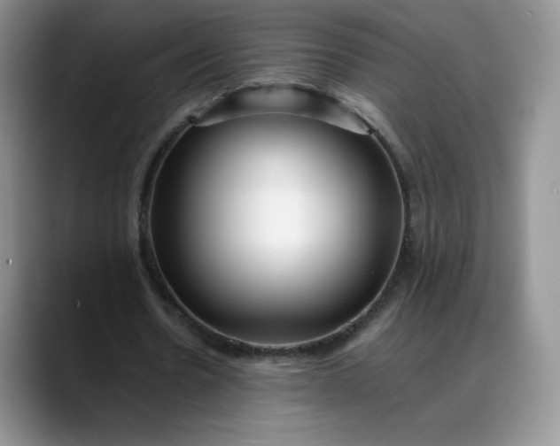 X0000088700530200706141432
