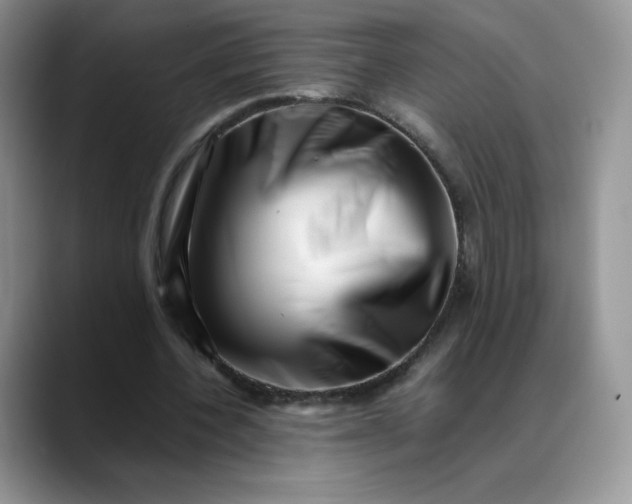 X0000088700532200706141432
