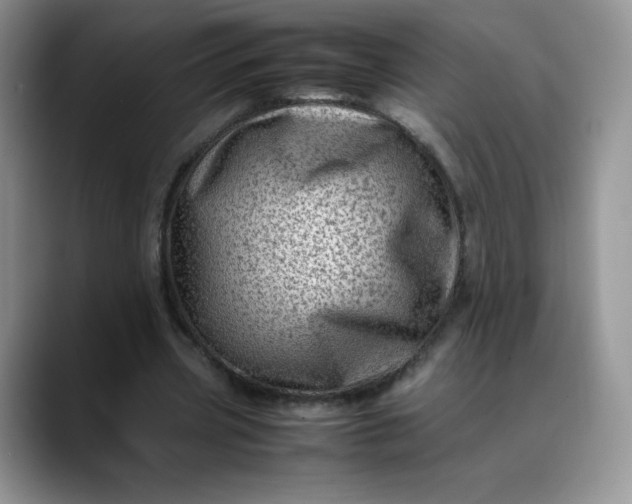X0000088700533200706141432