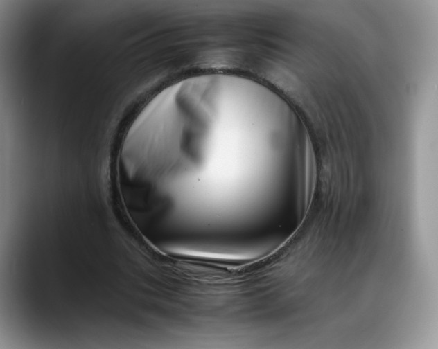 X0000088700535200706141432