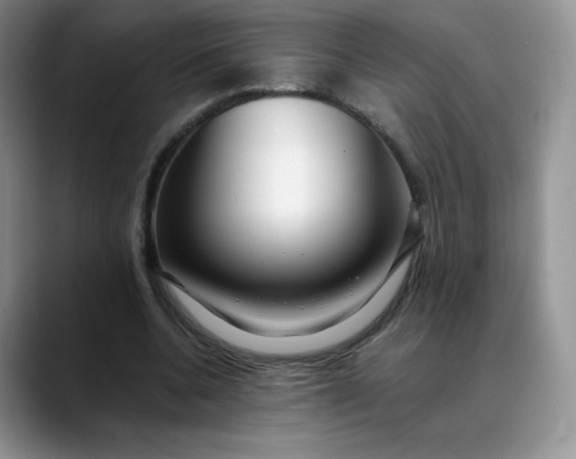 X0000088700536200706141432