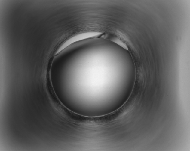 X0000088700538200706141432