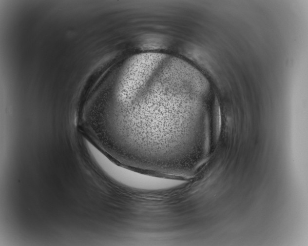 X0000088700539200706141432