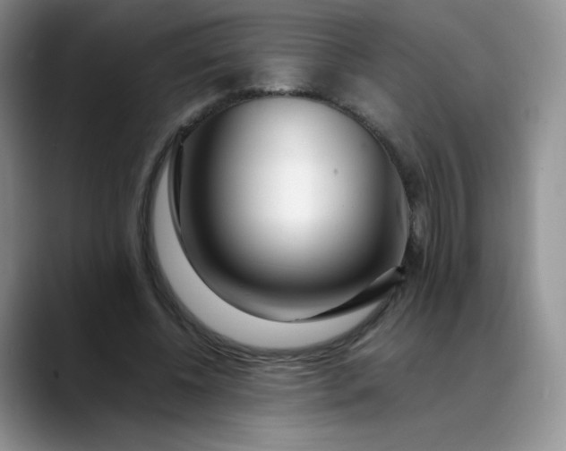 X0000088700540200706141432