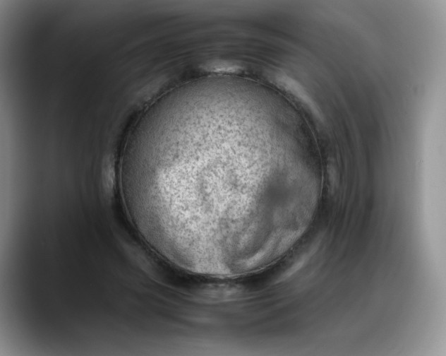 X0000088700541200706141432