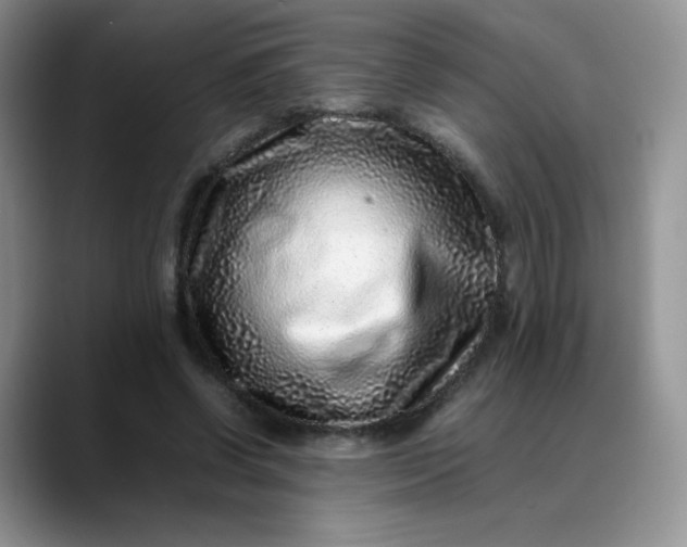 X0000088700542200706141432