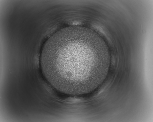 X0000088700545200706141432