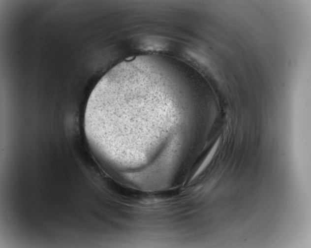 X0000088700547200706141432