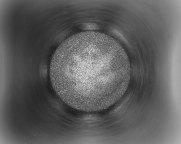 X0000088700549200706141432