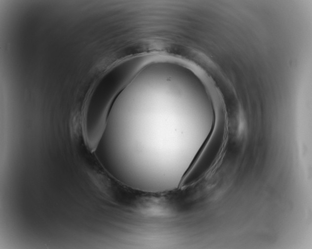X0000088700552200706141432