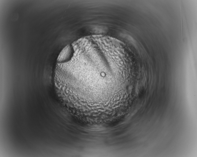 X0000088700553200706141432