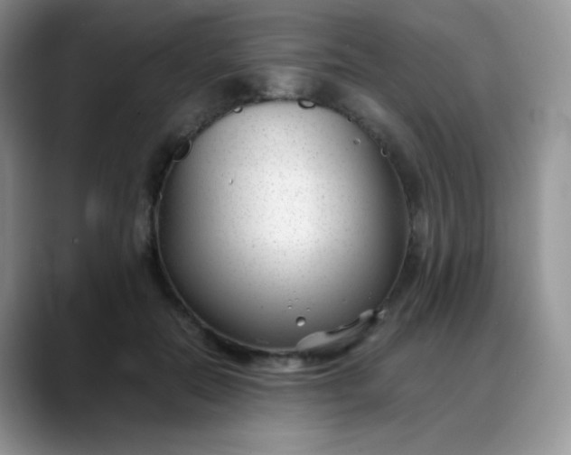 X0000088700554200706141432