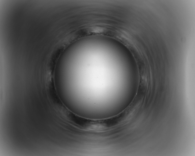 X0000088700555200706141432