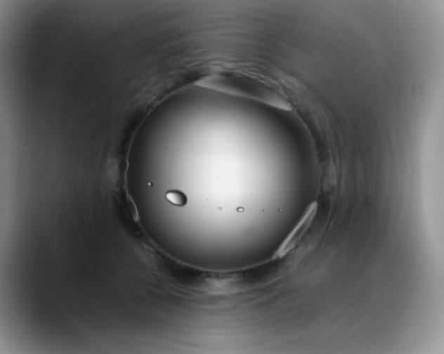 X0000088700560200706141432