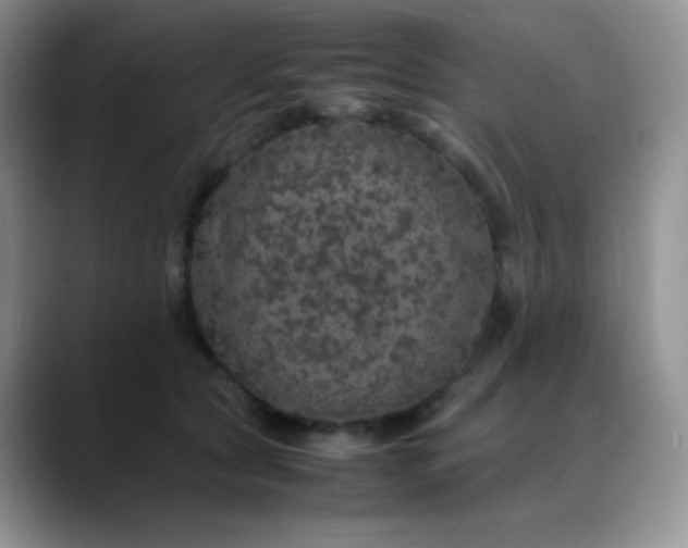 X0000088700561200706141432