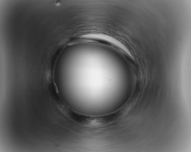 X0000088700564200706141432