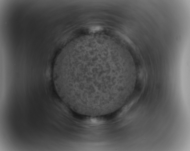 X0000088700565200706141432