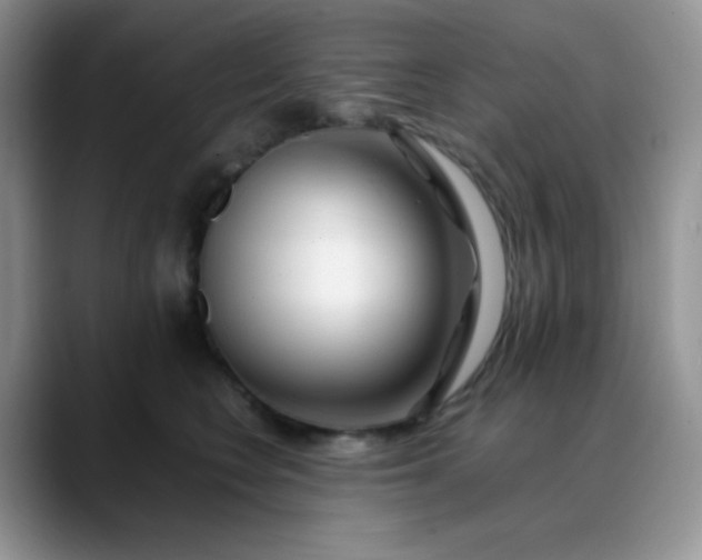 X0000088700566200706141432