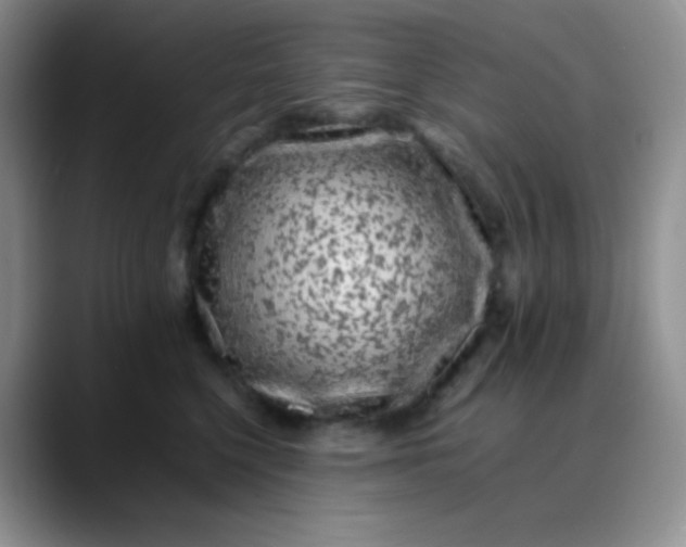 X0000088700568200706141432