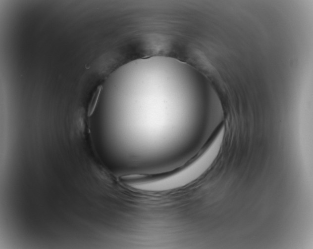 X0000088700570200706141432