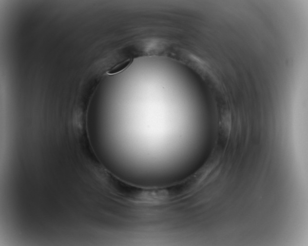 X0000088700571200706141432