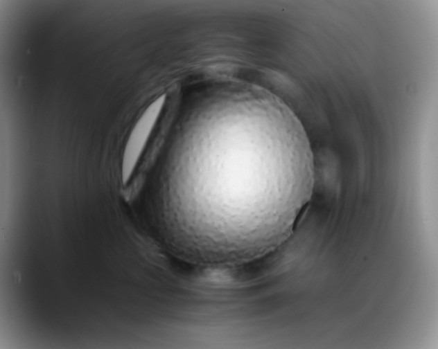 X0000088700573200706141432