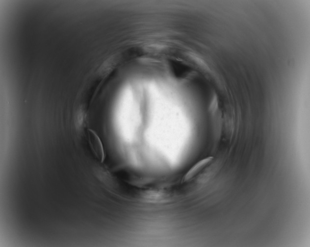 X0000088700574200706141432