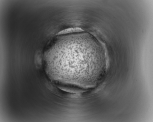 X0000088700576200706141432