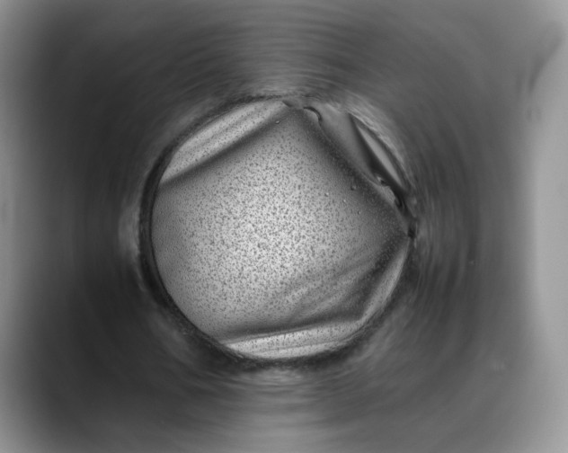 X0000088700578200706141432