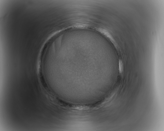 X0000088700579200706141432