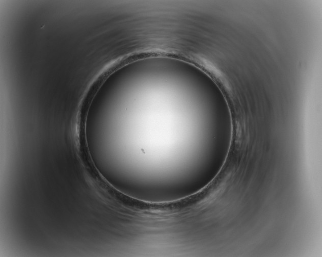 X0000088700580200706141432